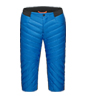 Aenergy IN Shorts