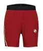 Aenergy TR Shorts