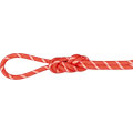 Alpine Classic Rope 8,0 mm