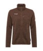 Arctic IV ML Jacket