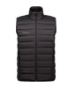 Corporate Crag IN Vest