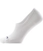 Everyday No Show Socks