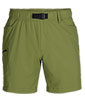 Ferrosi Shorts 7