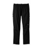 Foray 3L Pants