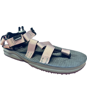 Lizard Hex H2O