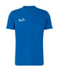 Mountain T-Shirt Bluemlisalphorn
