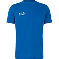 Mountain T-Shirt Bluemlisalphorn