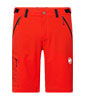 Mtn. Pro 2.0 Shorts
