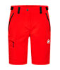 Mtn. Pro 2.0 Women's Shorts