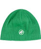 Sublime Beanie