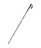 Taiss Poles