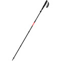Taiss Poles