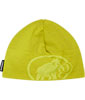 Tweak Beanie