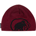 Tweak Beanie