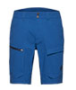 Zinal Hybrid Shorts